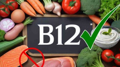 best sources of vitamin B12 for vegetarians